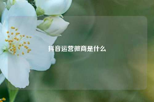 抖音运营微商是什么