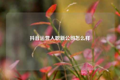 抖音运营入职新公司怎么样
