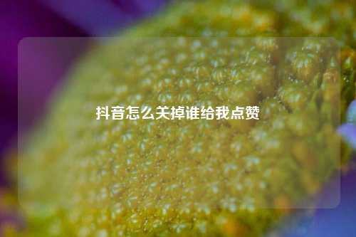 抖音怎么关掉谁给我点赞
