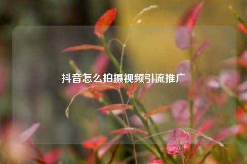 抖音怎么拍摄视频引流推广