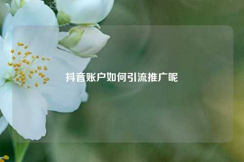 抖音账户如何引流推广呢