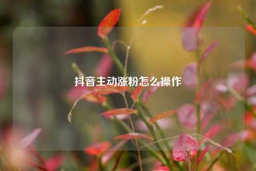 抖音主动涨粉怎么操作