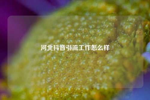 河北抖音引流工作怎么样