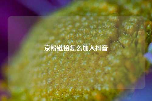 京粉链接怎么加入抖音