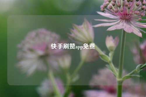 快手刷赞app免费