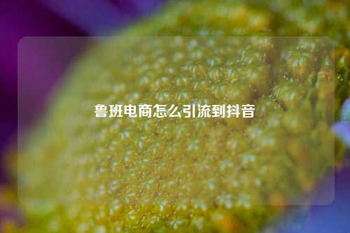 鲁班电商怎么引流到抖音