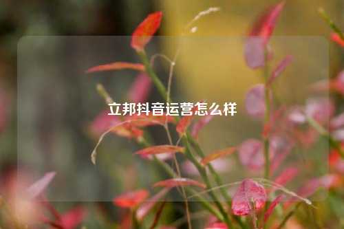立邦抖音运营怎么样