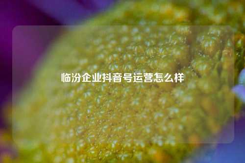 临汾企业抖音号运营怎么样