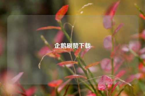 企鹅刷赞下载