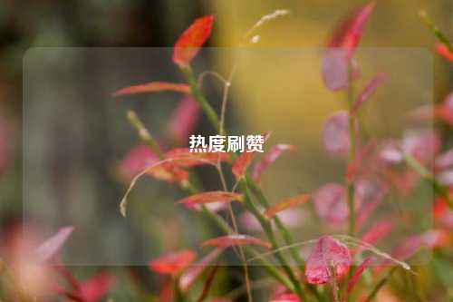 热度刷赞