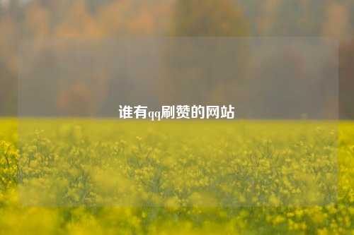 谁有qq刷赞的网站