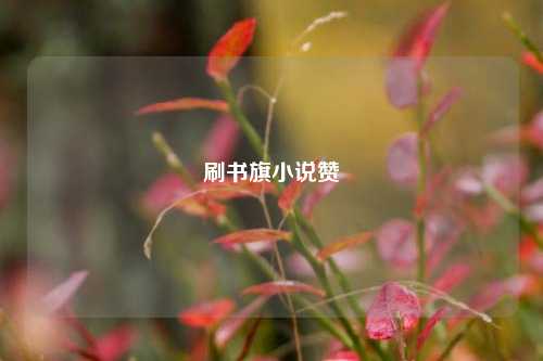 刷书旗小说赞