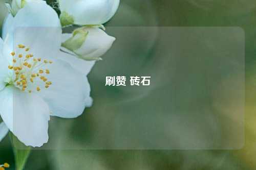 刷赞 砖石