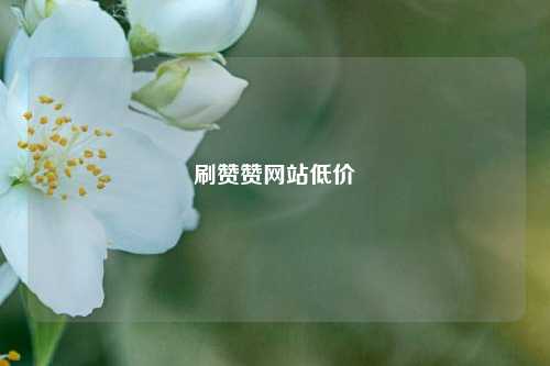 刷赞赞网站低价
