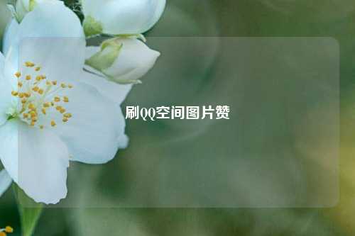 刷QQ空间图片赞