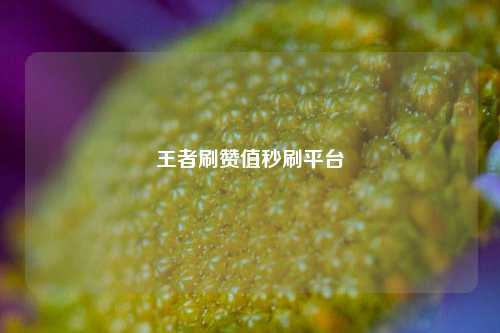 王者刷赞值秒刷平台