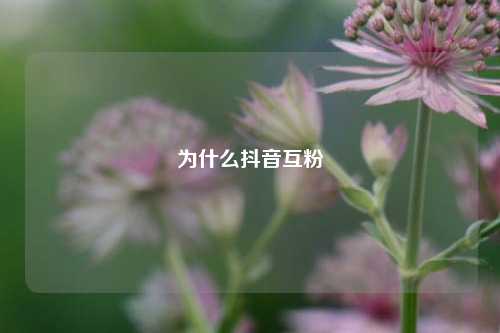 为什么抖音互粉