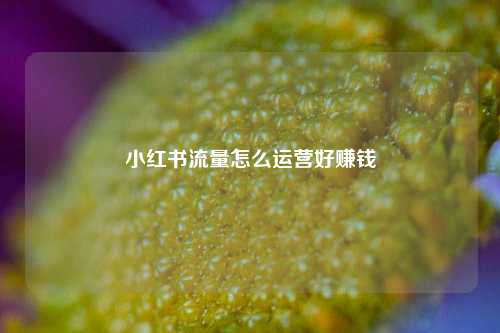 小红书流量怎么运营好赚钱