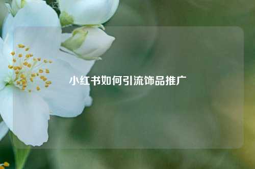 小红书如何引流饰品推广