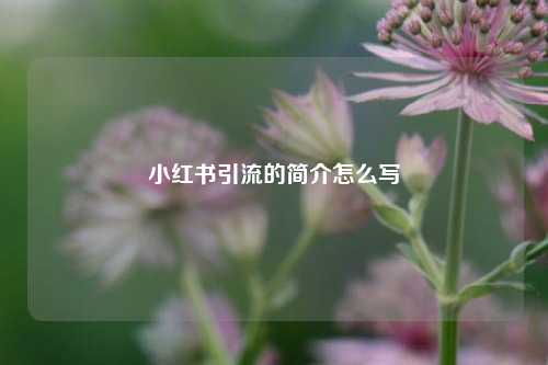小红书引流的简介怎么写