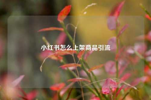 小红书怎么上架商品引流